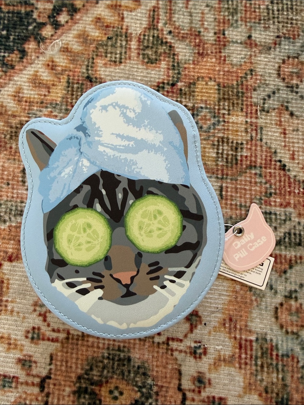 Urban Outfitters Cat Face Pill Case in Light Blue with Green Accents